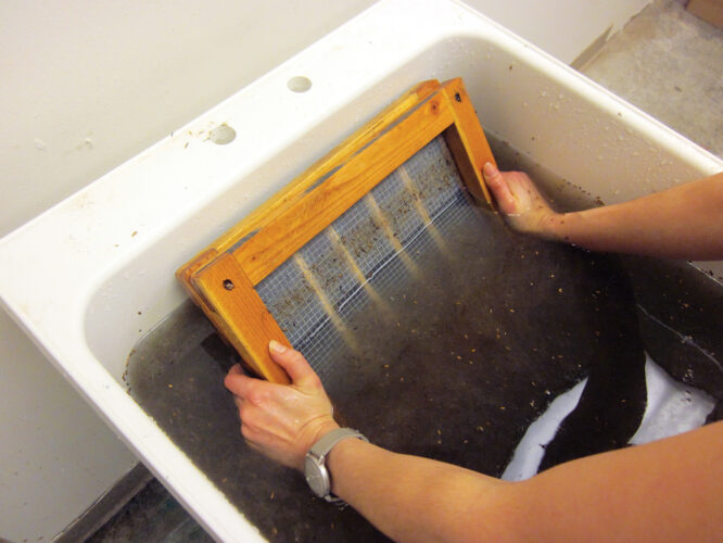 How to Make Paper From Plants Mother Earth News